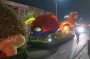 Thumbs/tn_Verlicht bloemencorso 2024 093.jpg